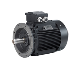 Sanitary Pumps High Efficiency Motors